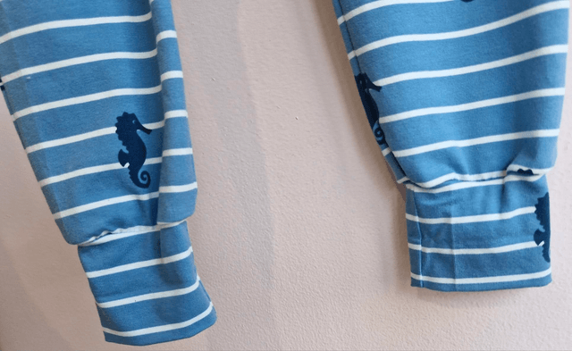 18-24 months seahorse 'Freddie'