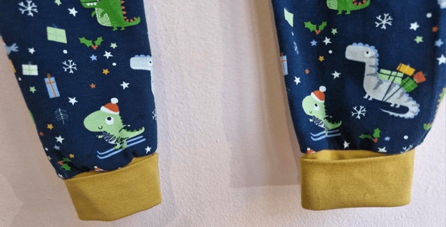 12-18 months Chrimbo Dino 'Freddie' romper